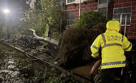 抗“梅花” 战风雨 三毛保安责无旁贷