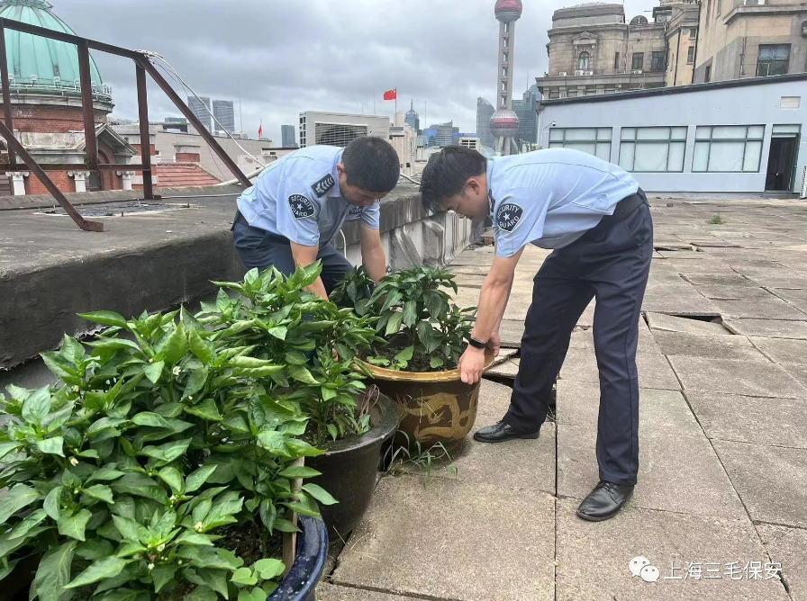 逆风而行 温情守护